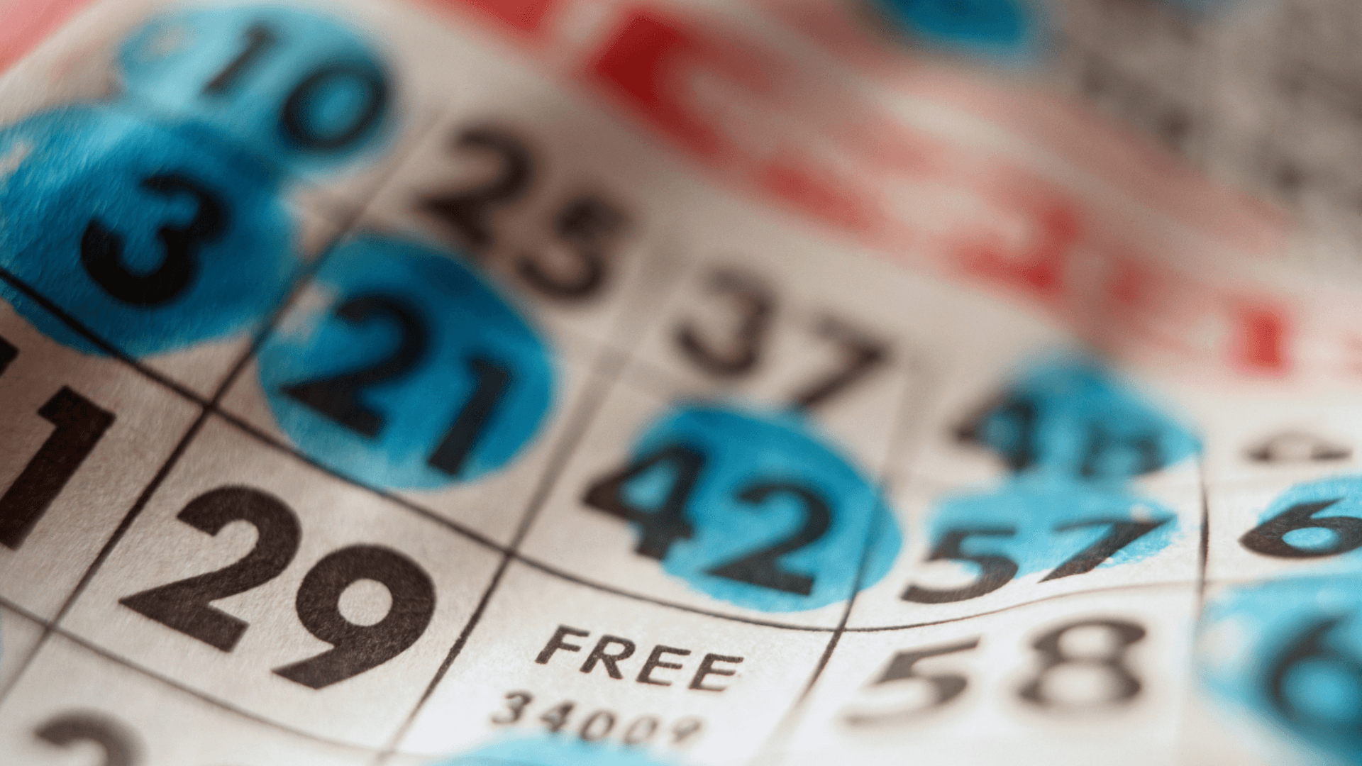 Сè за онлајн бинго картички и повици image